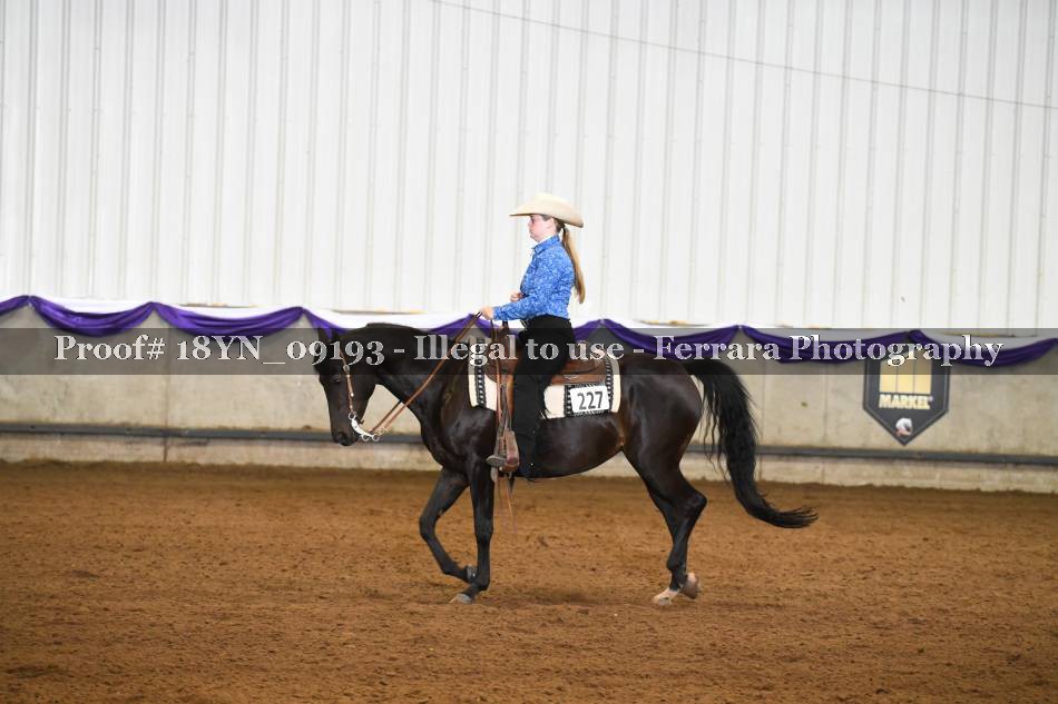 Proof 18YN_09193