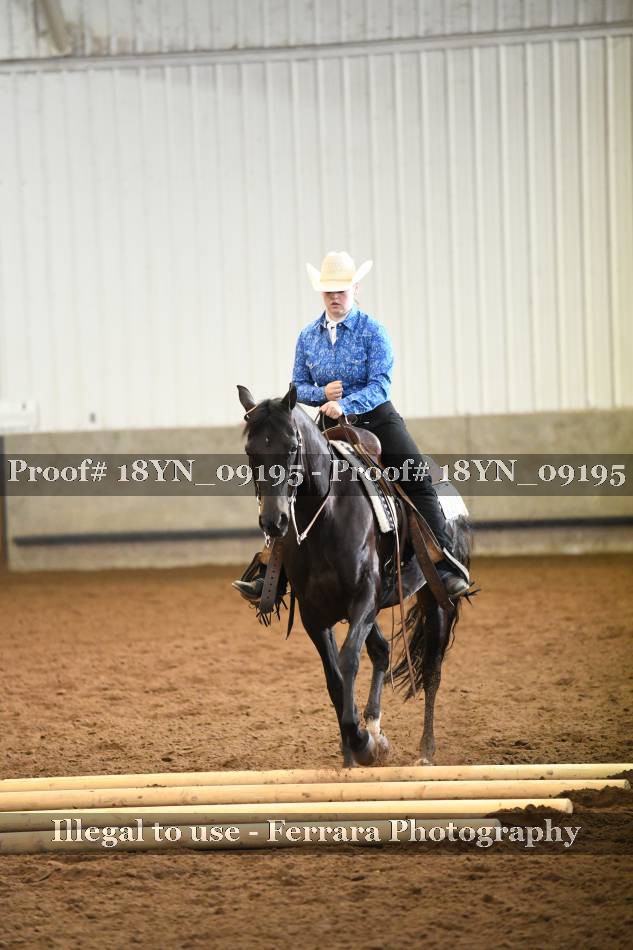 Proof 18YN_09195