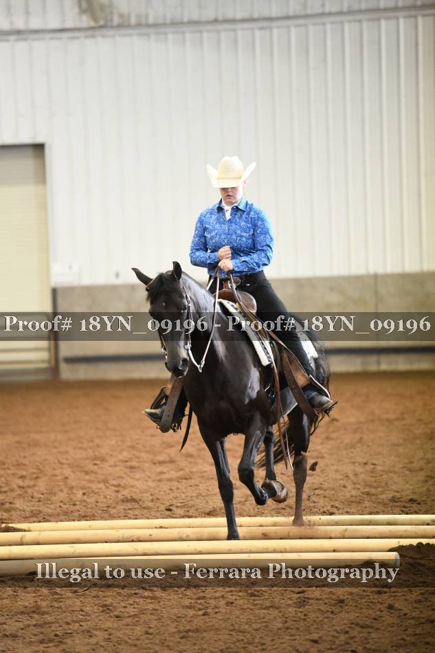 Proof 18YN_09196