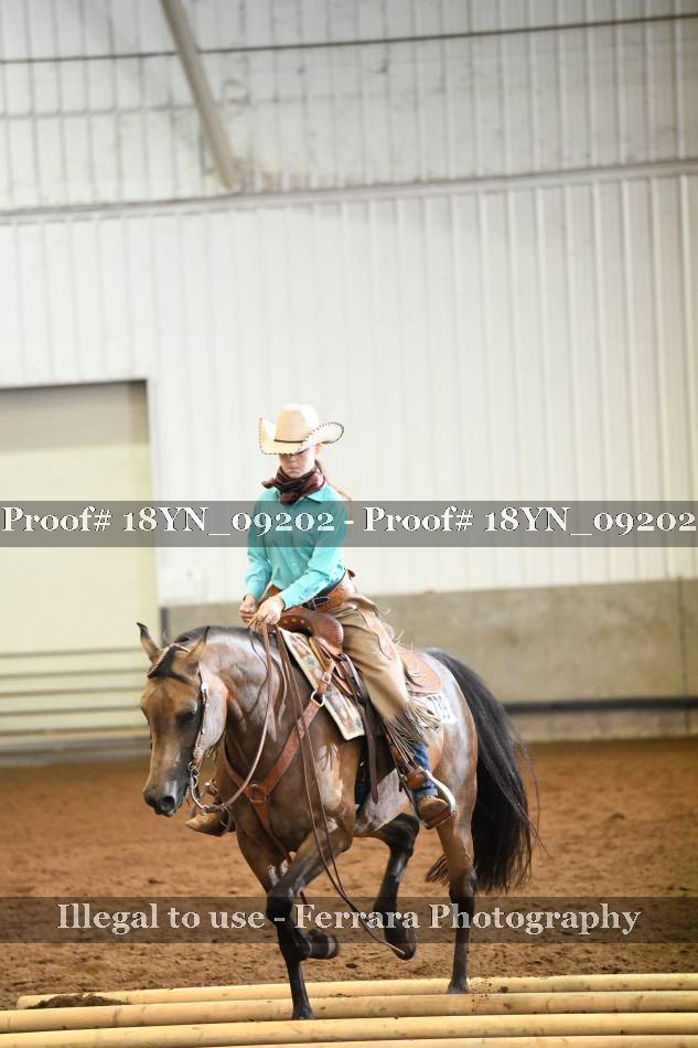 Proof 18YN_09202