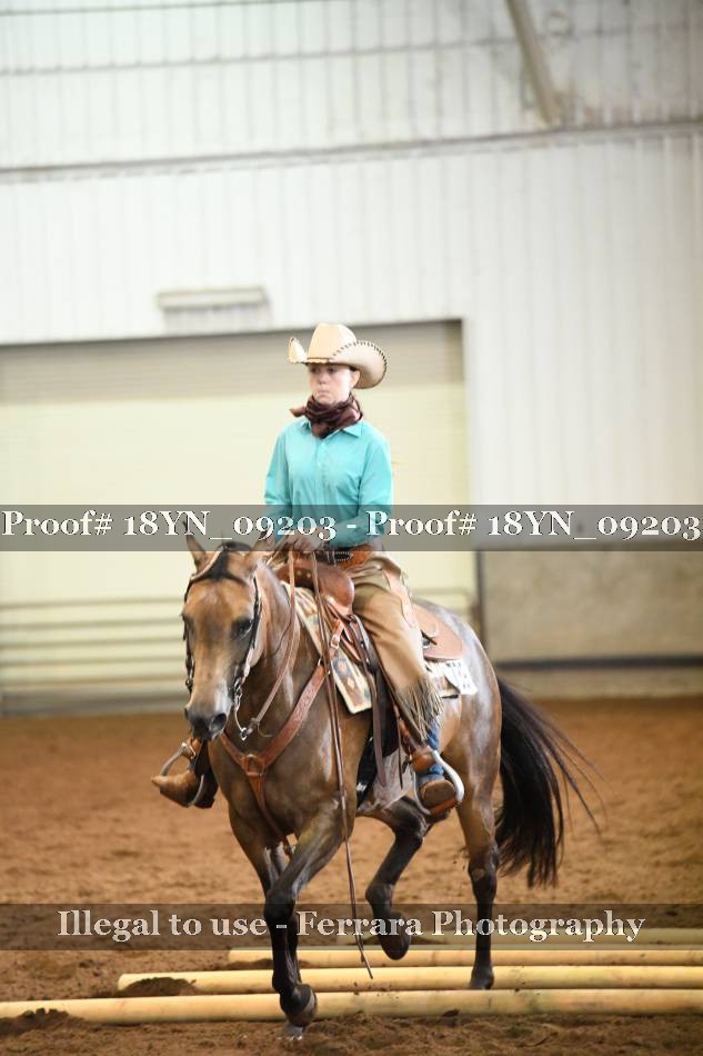 Proof 18YN_09203