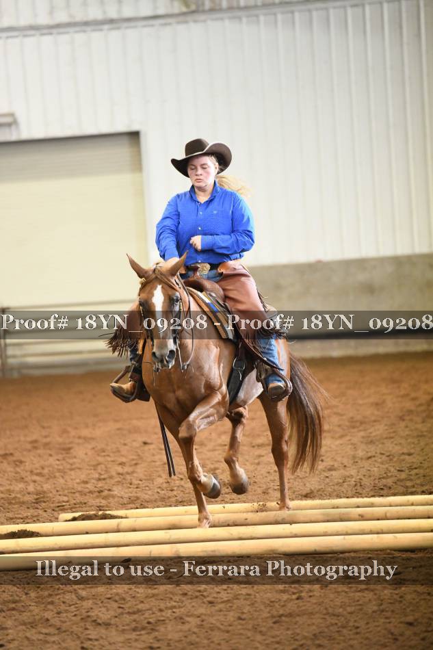 Proof 18YN_09208