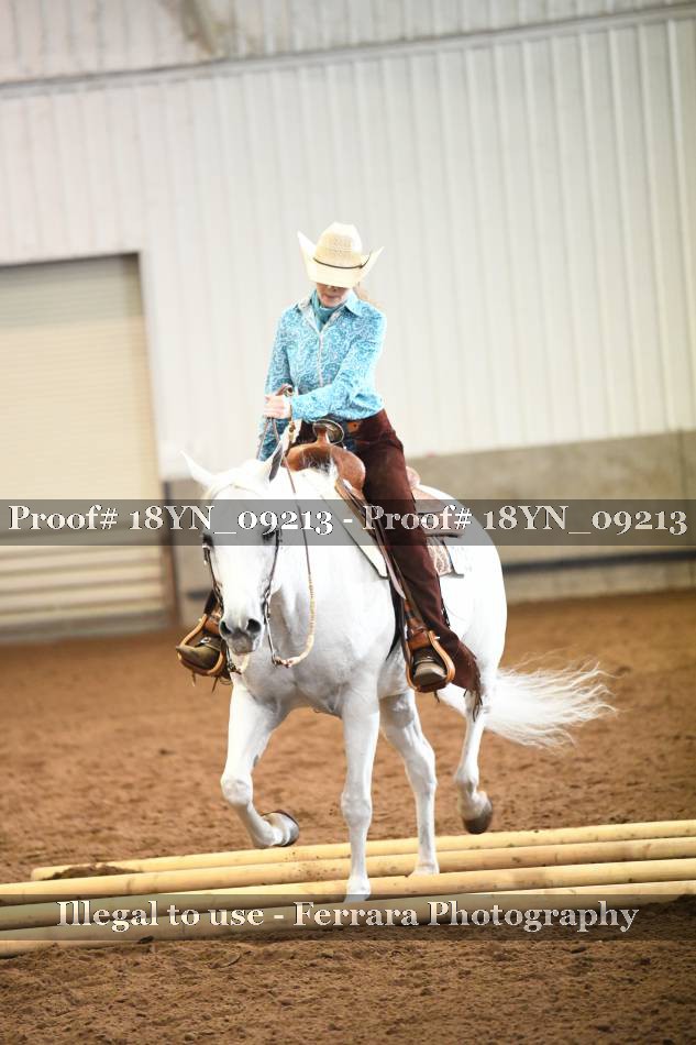 Proof 18YN_09213