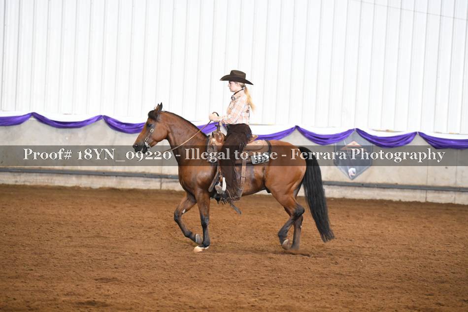 Proof 18YN_09220