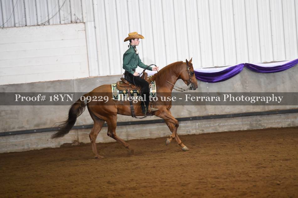 Proof 18YN_09229