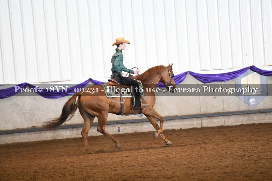 Proof 18YN_09231