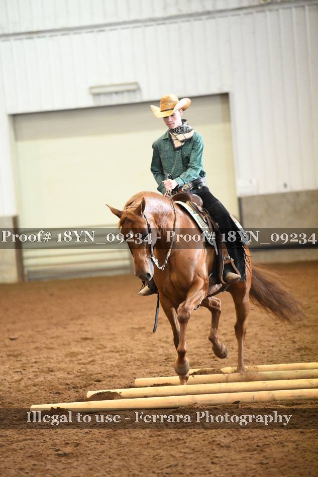 Proof 18YN_09234