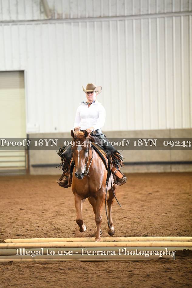 Proof 18YN_09243