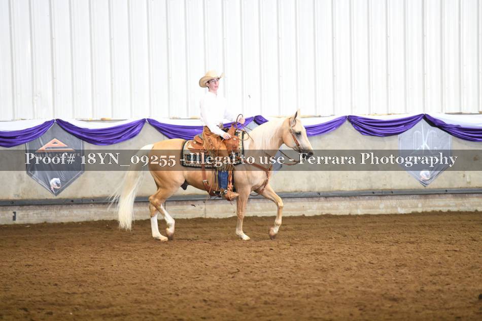 Proof 18YN_09255