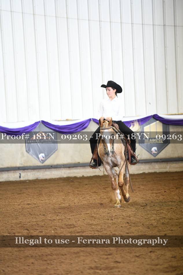 Proof 18YN_09263