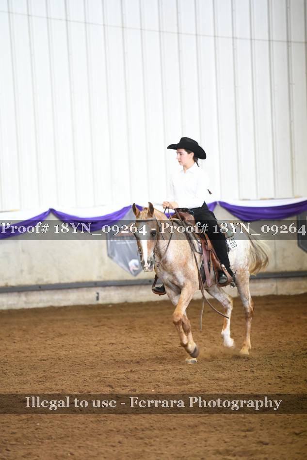 Proof 18YN_09264