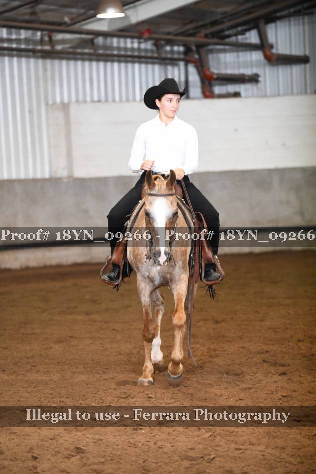 Proof 18YN_09266
