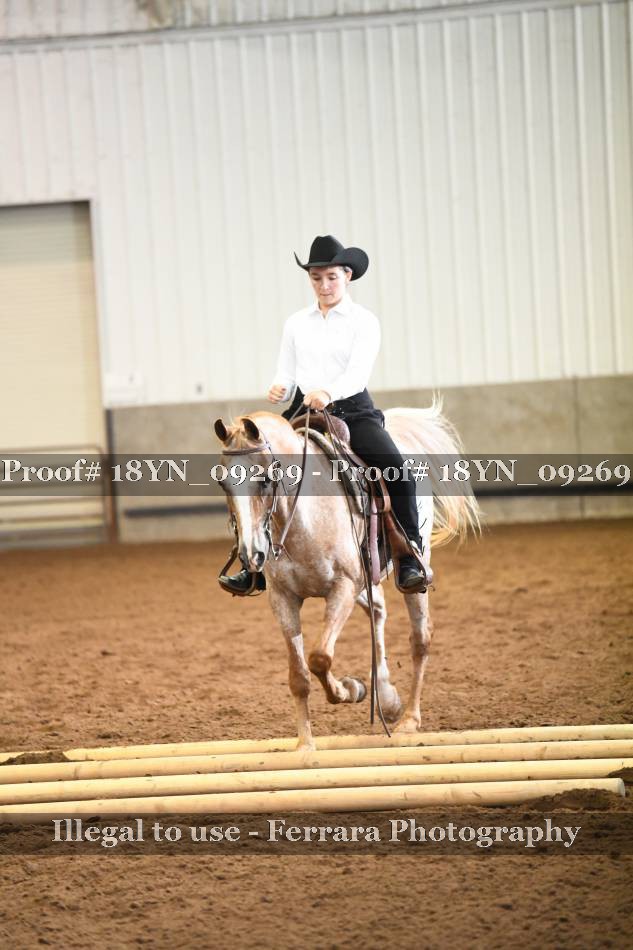 Proof 18YN_09269