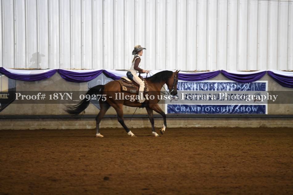 Proof 18YN_09275