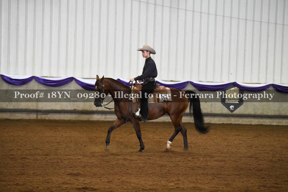 Proof 18YN_09280