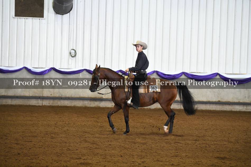 Proof 18YN_09281