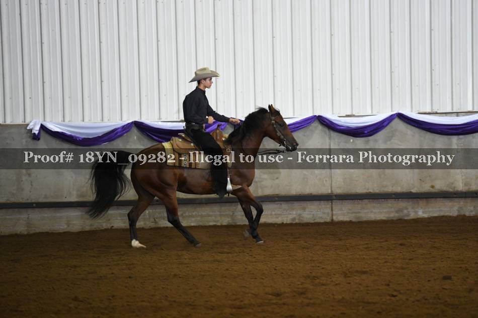 Proof 18YN_09282