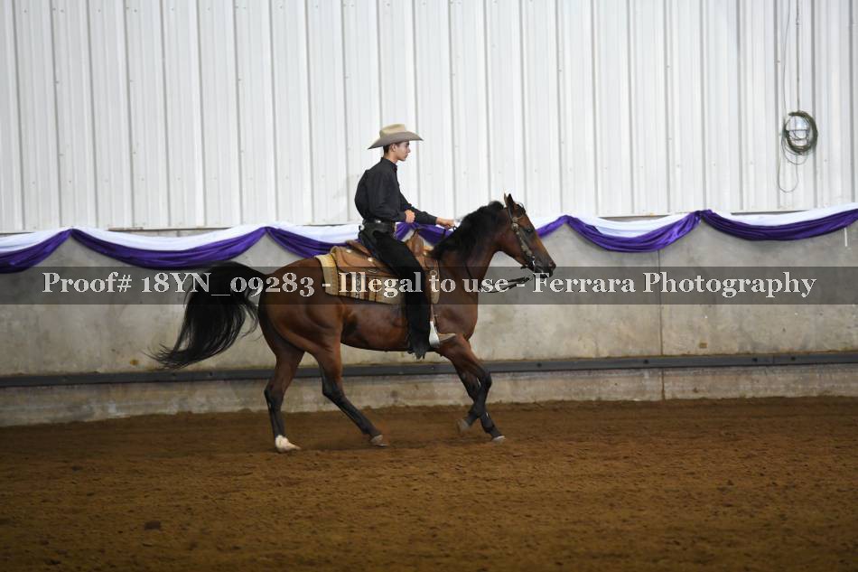 Proof 18YN_09283
