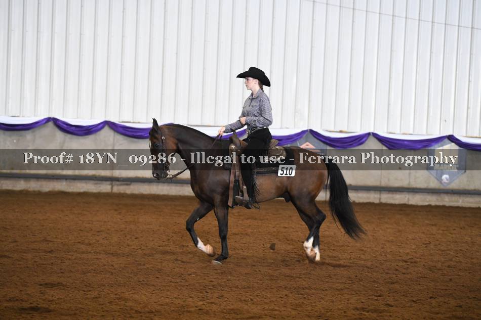 Proof 18YN_09286