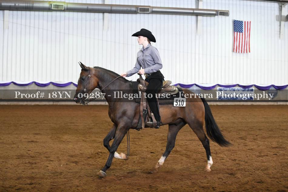 Proof 18YN_09287