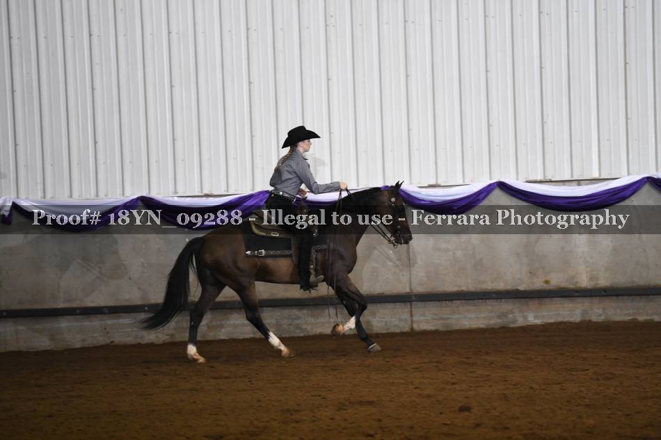 Proof 18YN_09288