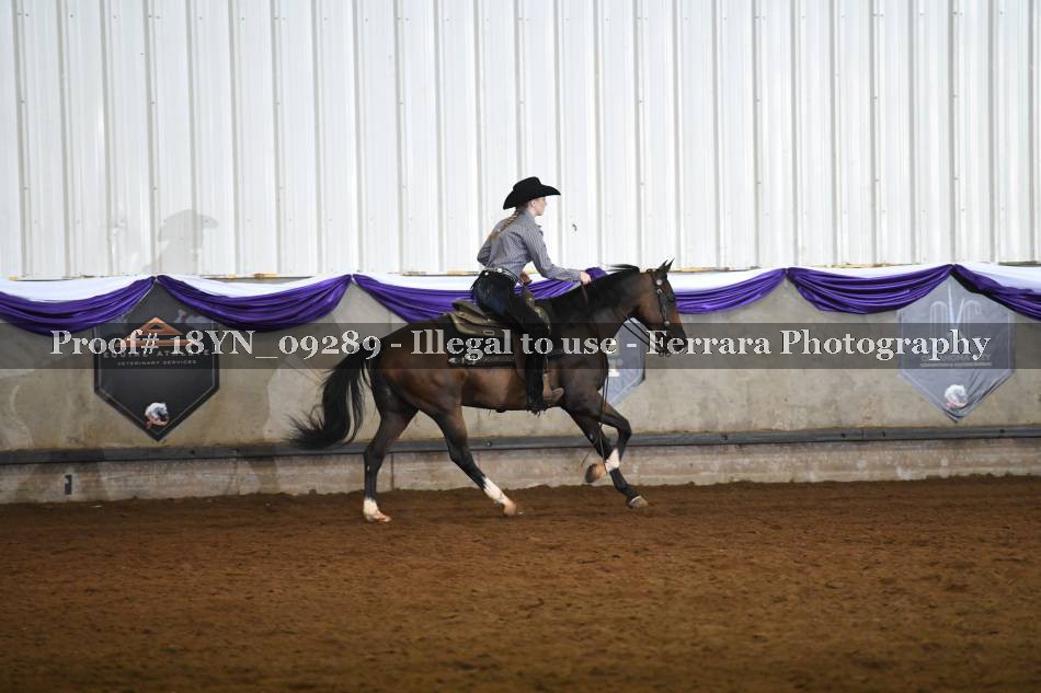 Proof 18YN_09289