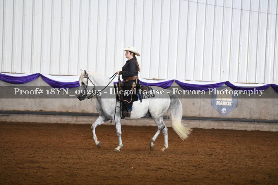Proof 18YN_09295