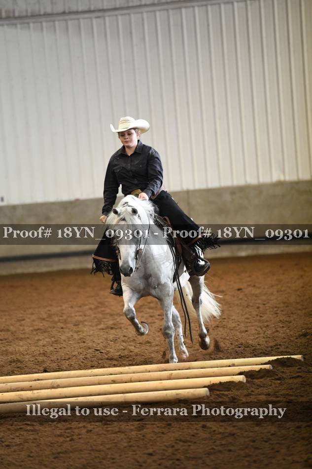 Proof 18YN_09301