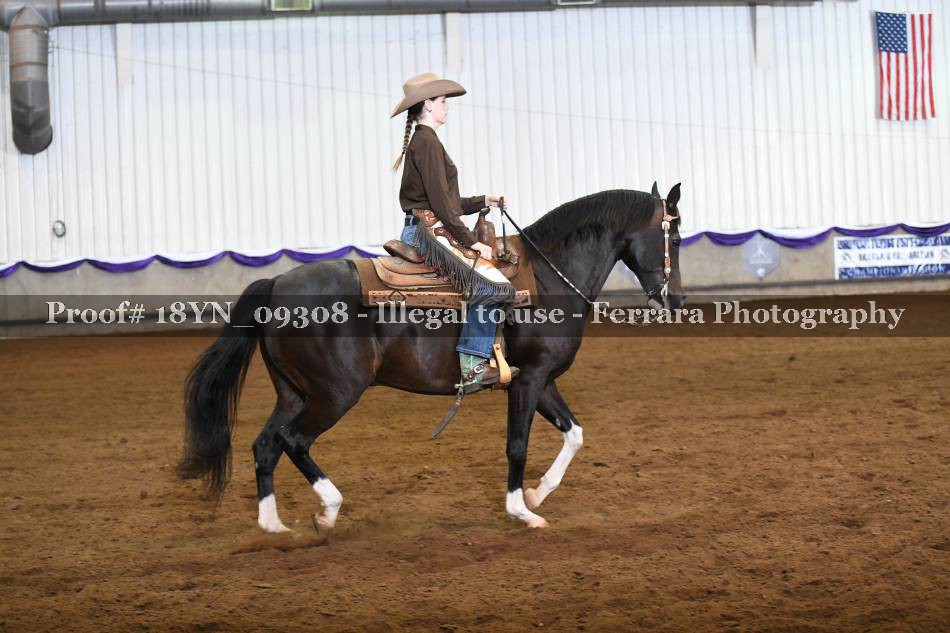 Proof 18YN_09308