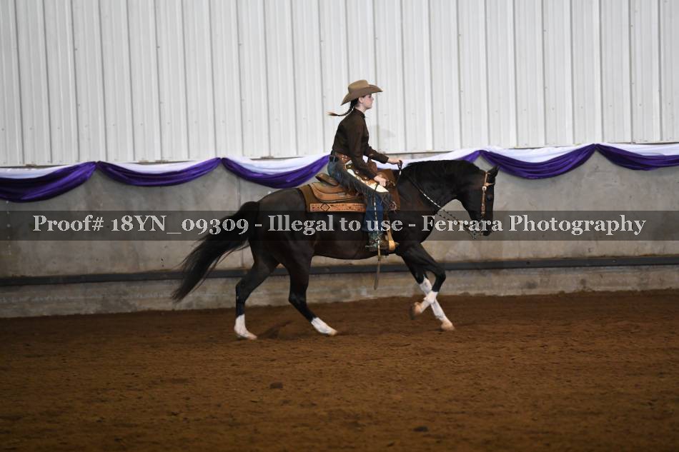 Proof 18YN_09309