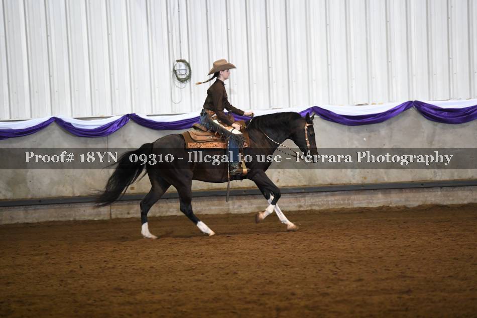 Proof 18YN_09310