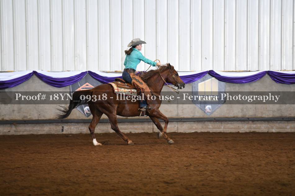 Proof 18YN_09318