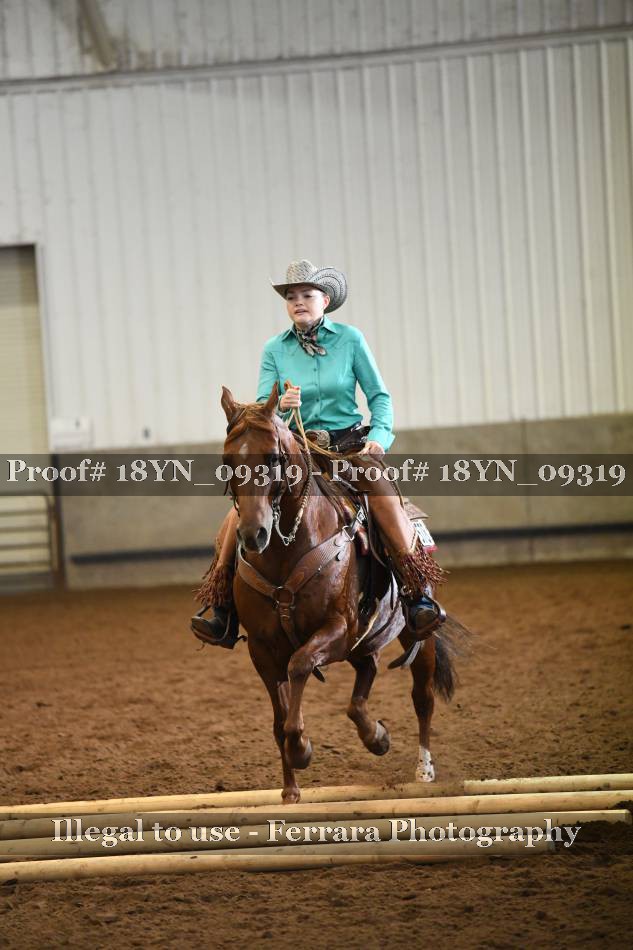 Proof 18YN_09319