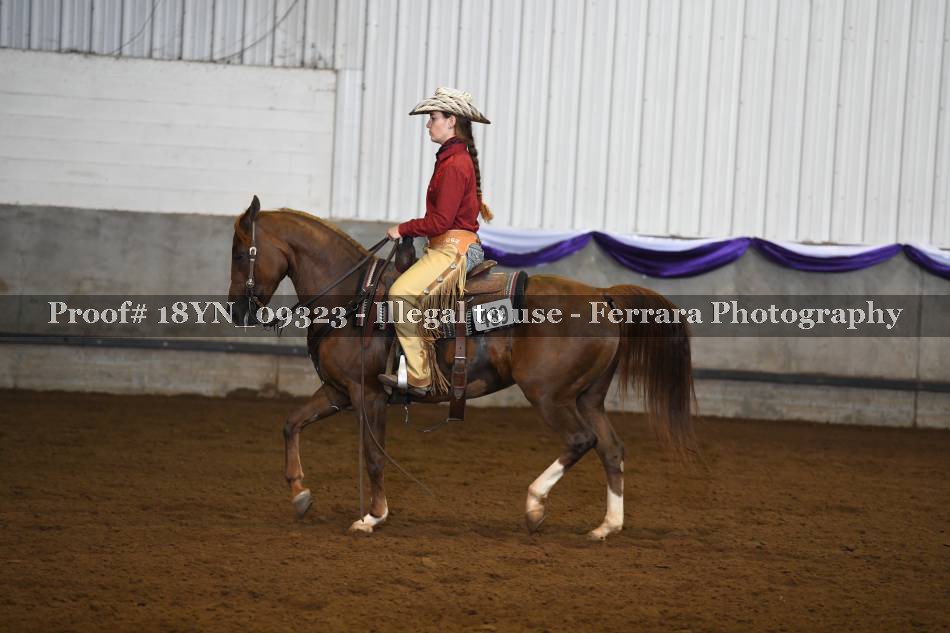 Proof 18YN_09323