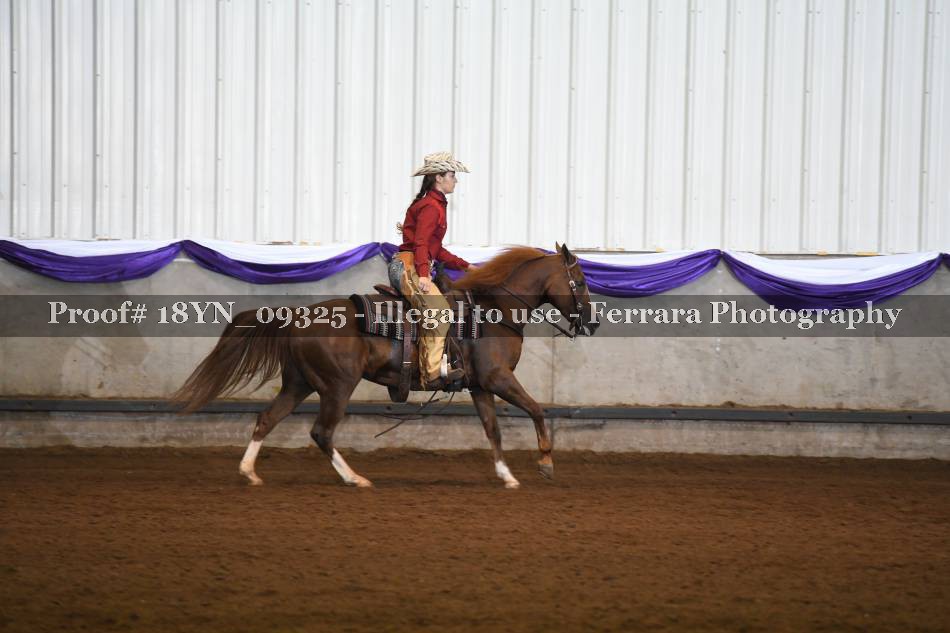 Proof 18YN_09325