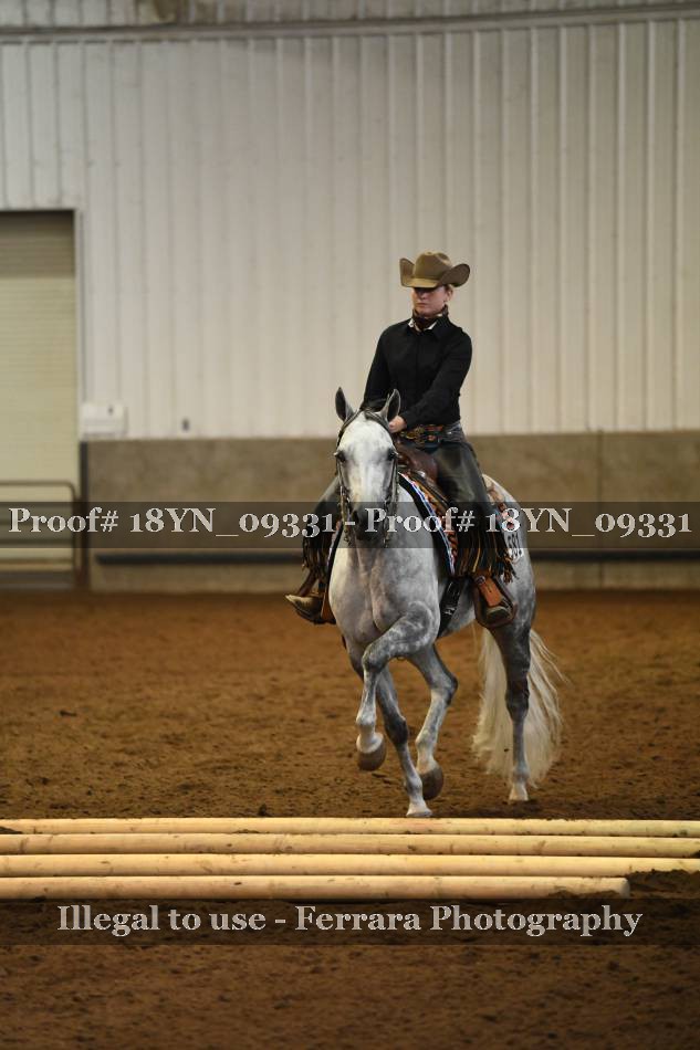 Proof 18YN_09331