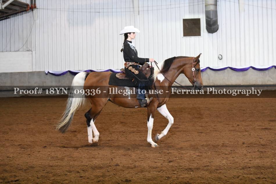 Proof 18YN_09336