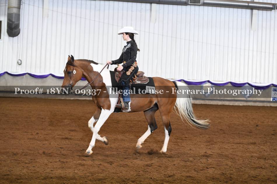 Proof 18YN_09337