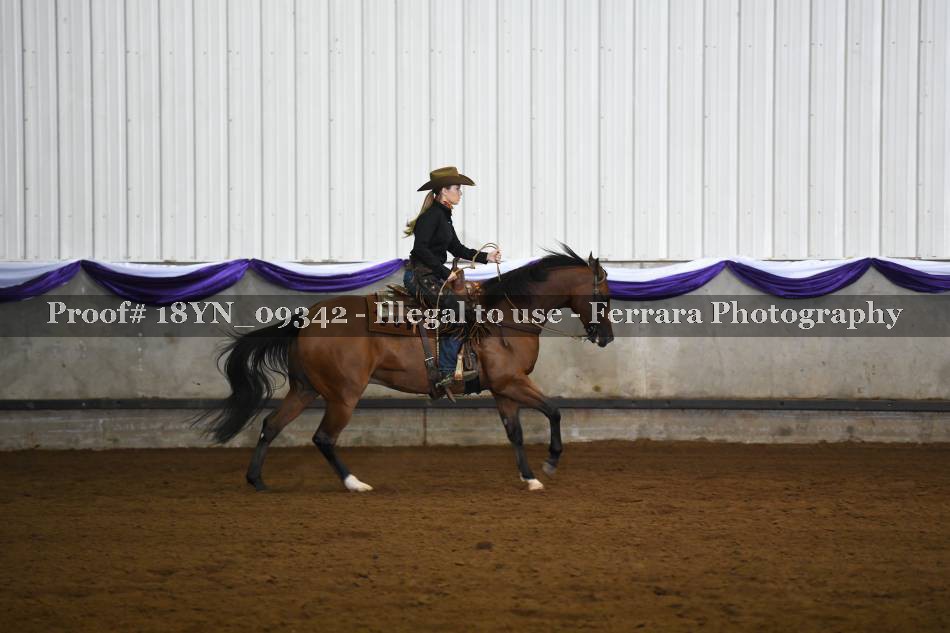 Proof 18YN_09342