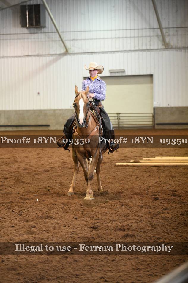 Proof 18YN_09350