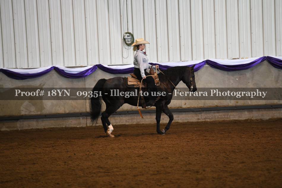 Proof 18YN_09351