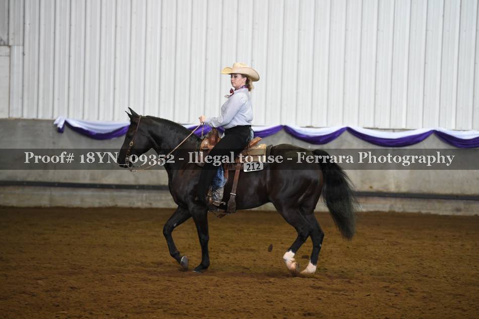 Proof 18YN_09352