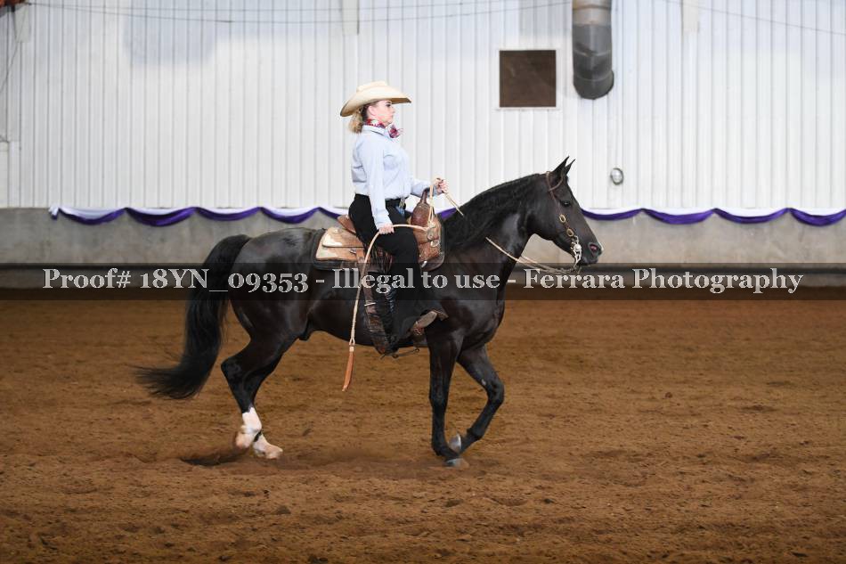 Proof 18YN_09353
