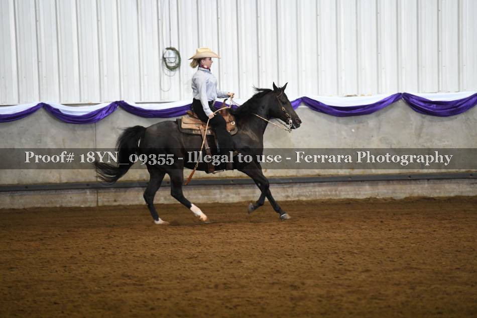 Proof 18YN_09355