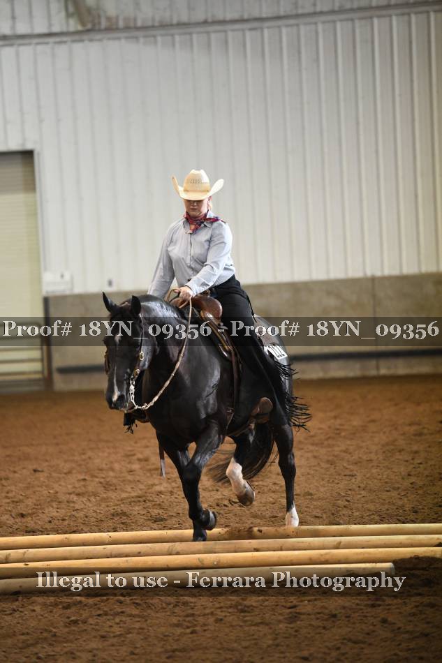 Proof 18YN_09356