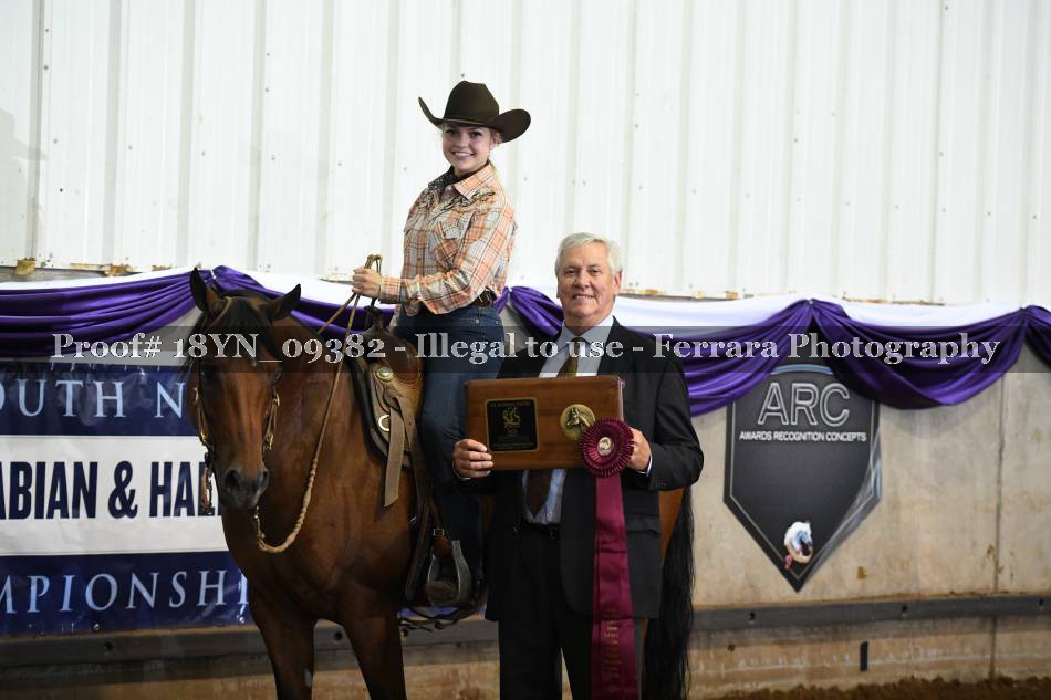 Proof 18YN_09382