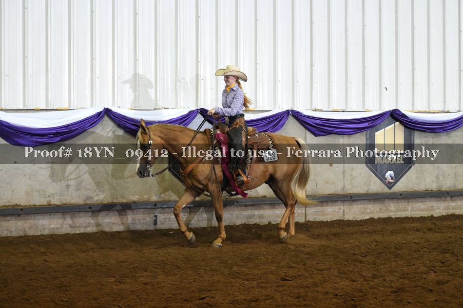 Proof 18YN_09412
