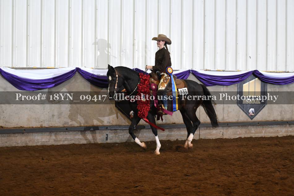 Proof 18YN_09417