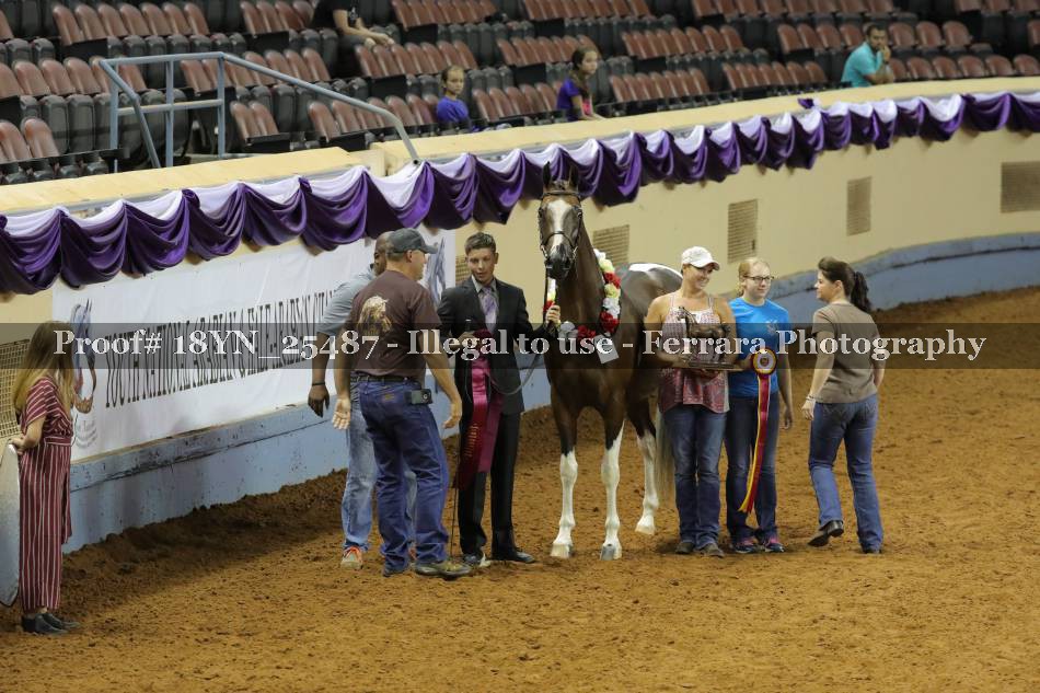 Proof 18YN_25487