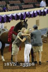 18YN_25508 proof